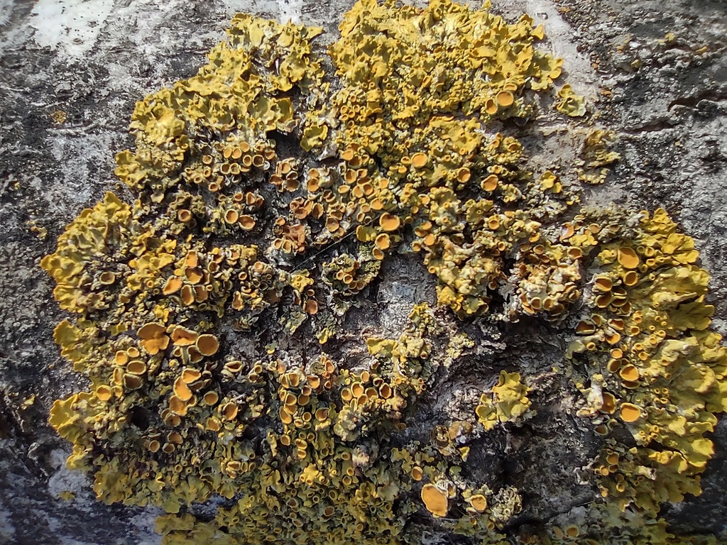 No s'ha trobat l'arxiu